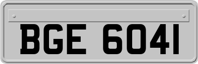 BGE6041