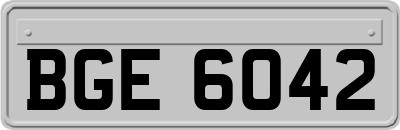 BGE6042