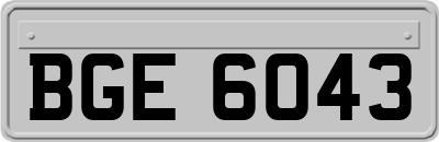 BGE6043