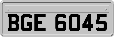 BGE6045