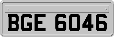 BGE6046
