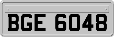 BGE6048