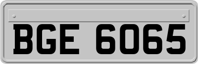 BGE6065