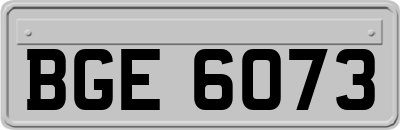 BGE6073
