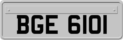 BGE6101
