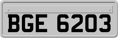 BGE6203