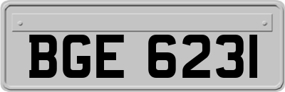 BGE6231