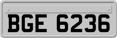 BGE6236