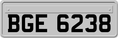 BGE6238