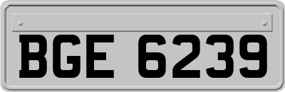 BGE6239