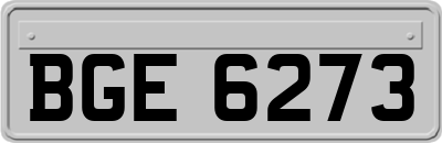 BGE6273