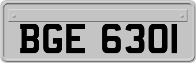 BGE6301