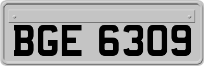 BGE6309