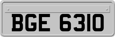 BGE6310
