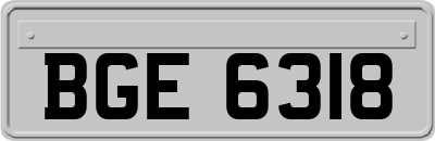 BGE6318