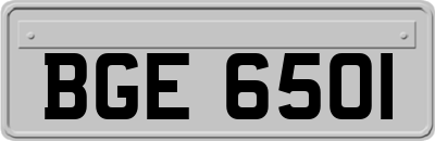 BGE6501
