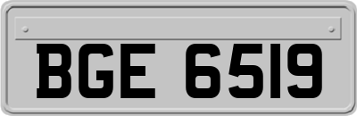 BGE6519