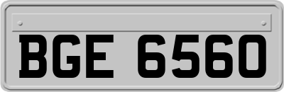 BGE6560