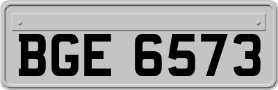 BGE6573