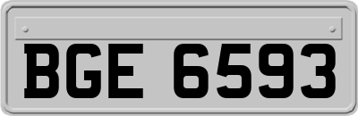 BGE6593