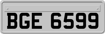 BGE6599