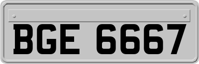 BGE6667