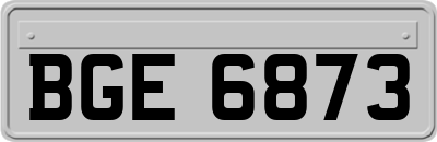 BGE6873