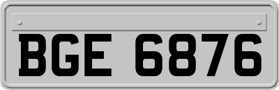 BGE6876