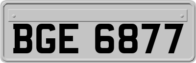 BGE6877