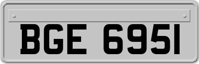 BGE6951