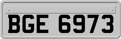 BGE6973