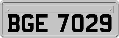 BGE7029