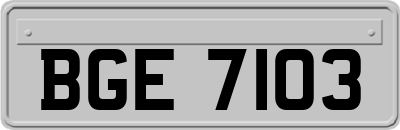 BGE7103