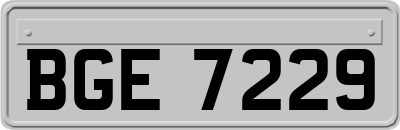BGE7229