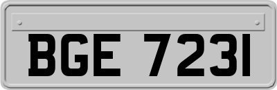 BGE7231