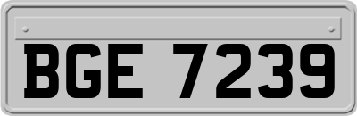 BGE7239