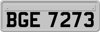 BGE7273
