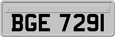 BGE7291