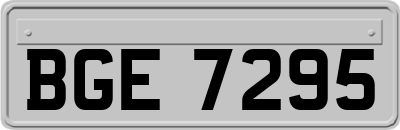 BGE7295