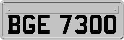 BGE7300