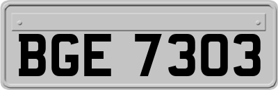 BGE7303