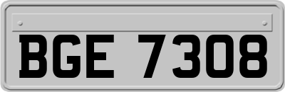 BGE7308