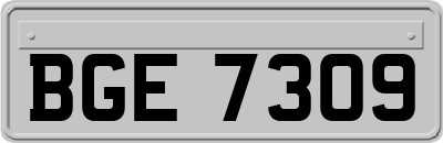 BGE7309