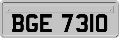 BGE7310