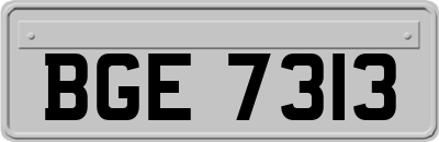 BGE7313