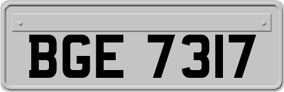 BGE7317