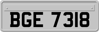 BGE7318