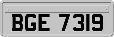 BGE7319