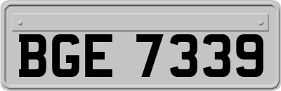 BGE7339