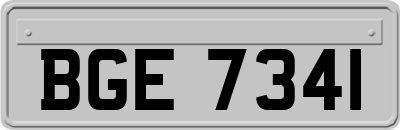 BGE7341